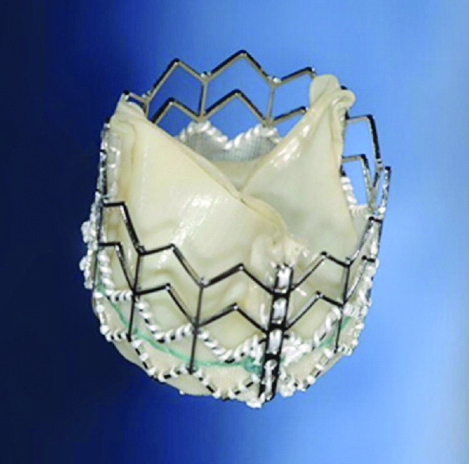 X0000_Edwards_Sapient heart